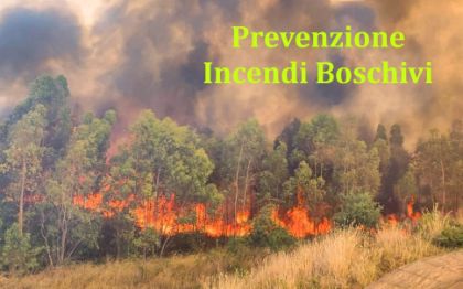 APPLICAZIONE DELLE MISURE DI PREVENZIONE DEL RISCHIO INCENDI BOSCHIVI APPLICAZIONE DELLE MISURE DI PREVENZIONE DEL RISCHIO INCENDI BOSCHIVI